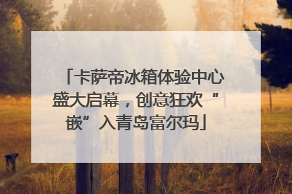 卡萨帝冰箱体验中心盛大启幕，创意狂欢“嵌”入青岛富尔玛
