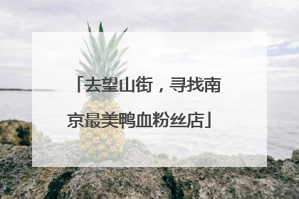 去望山街，寻找南京最美鸭血粉丝店