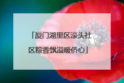 厦门湖里区濠头社区粽香飘溢暖侨心