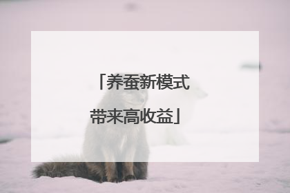 养蚕新模式带来高收益