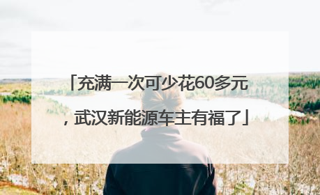 充满一次可少花60多元，武汉新能源车主有福了