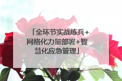 全环节实战练兵+网格化力量部署+智慧化应急管理