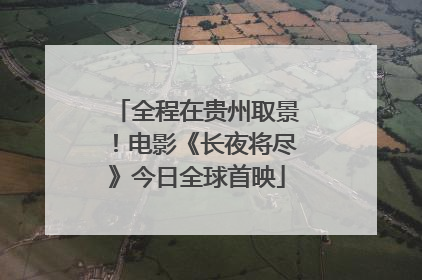 全程在贵州取景！电影《长夜将尽》今日全球首映