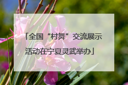 全国“村舞”交流展示活动在宁夏灵武举办