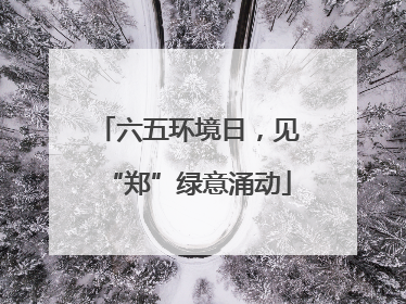六五环境日，见“郑”绿意涌动