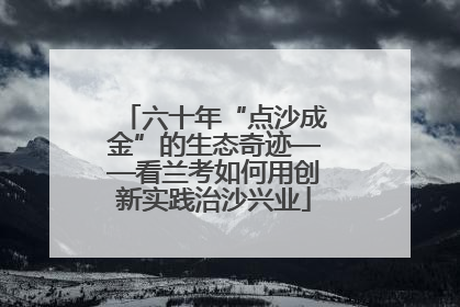 六十年“点沙成金”的生态奇迹——看兰考如何用创新实践治沙兴业