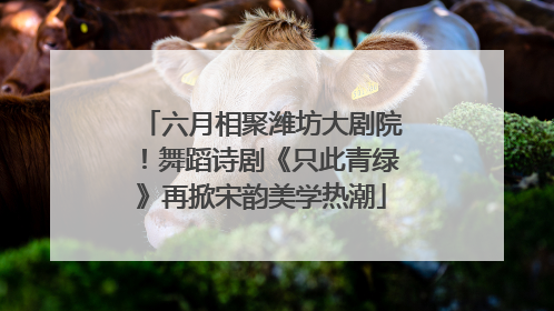 六月相聚潍坊大剧院！舞蹈诗剧《只此青绿》再掀宋韵美学热潮
