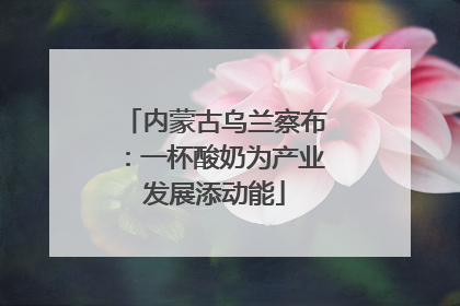 内蒙古乌兰察布：一杯酸奶为产业发展添动能
