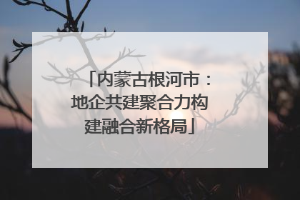 内蒙古根河市：地企共建聚合力构建融合新格局