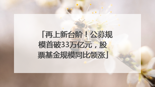 再上新台阶！公募规模首破33万亿元，股票基金规模同比领涨