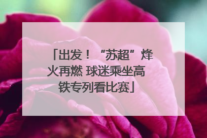 出发！“苏超”烽火再燃 球迷乘坐高铁专列看比赛