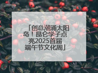 创意潮涌太阳岛！昆仑学子点亮2025首届端午节文化周