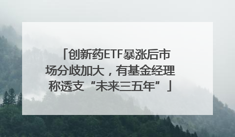 创新药ETF暴涨后市场分歧加大，有基金经理称透支“未来三五年”
