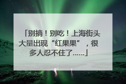 别摘！别吃！上海街头大量出现“红果果”，很多人忍不住了……