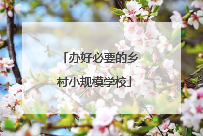 办好必要的乡村小规模学校