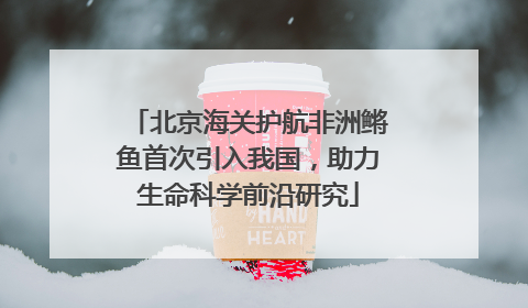 北京海关护航非洲鳉鱼首次引入我国，助力生命科学前沿研究