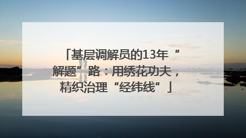 基层调解员的13年“解题”路：用绣花功夫，精织治理“经纬线”
