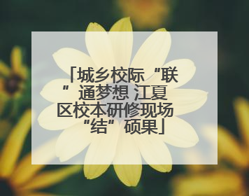 城乡校际“联”通梦想 江夏区校本研修现场“结”硕果