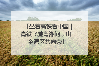 坐着高铁看中国｜高铁飞驰粤湘间，山乡湾区共向荣
