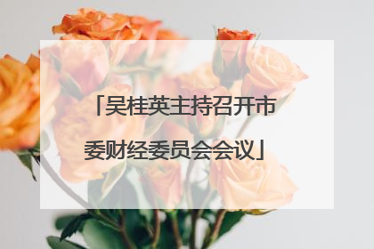 吴桂英主持召开市委财经委员会会议