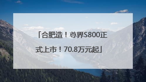 合肥造！尊界S800正式上市！70.8万元起