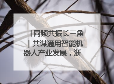 同频共振长三角｜共谋通用智能机器人产业发展，浙江新昌科技日搭建协同创新平台