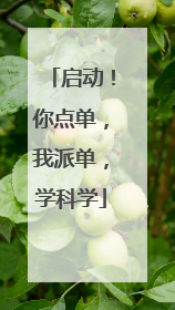 启动！你点单，我派单，学科学