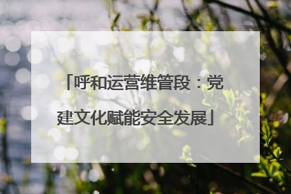 呼和运营维管段：党建文化赋能安全发展