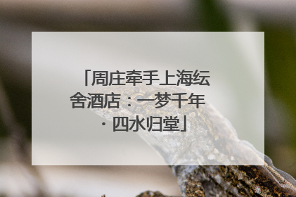周庄牵手上海纭舍酒店：一梦千年・四水归堂