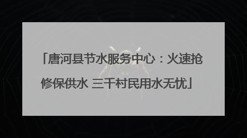 唐河县节水服务中心：火速抢修保供水 三千村民用水无忧