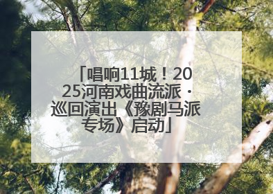 唱响11城！2025河南戏曲流派・巡回演出《豫剧马派专场》启动