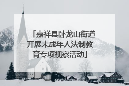 嘉祥县卧龙山街道开展未成年人法制教育专项视察活动