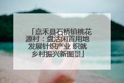 嘉禾县石桥镇桃花源村：盘活闲置用地发展针织产业 织就乡村振兴新图景