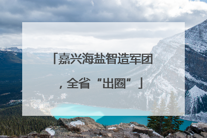 嘉兴海盐智造军团，全省“出圈”