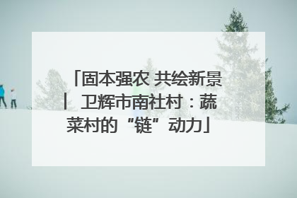 固本强农 共绘新景 ︳卫辉市南社村：蔬菜村的“链”动力