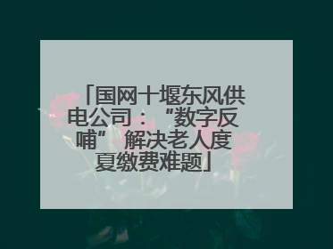 国网十堰东风供电公司：“数字反哺” 解决老人度夏缴费难题