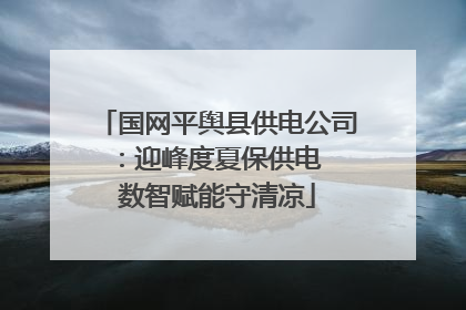 国网平舆县供电公司：迎峰度夏保供电  数智赋能守清凉