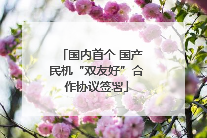 国内首个 国产民机“双友好”合作协议签署
