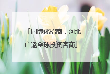 国际化招商，河北广邀全球投资客商