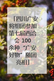 四川广安将组团参加第七届西洽会 100余种“广安好物”随团亮相
