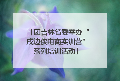 团吉林省委举办“戍边侠电商实训营”系列培训活动
