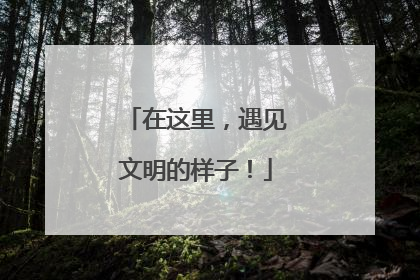 在这里，遇见文明的样子！