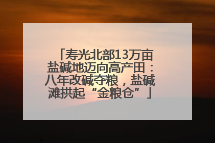 寿光北部13万亩盐碱地迈向高产田：八年改碱夺粮，盐碱滩拱起“金粮仓”