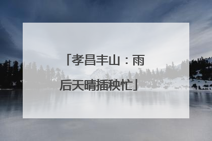 孝昌丰山：雨后天晴插秧忙