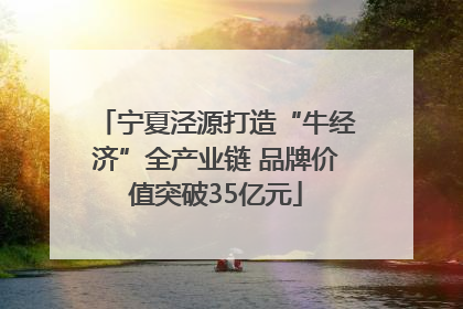 宁夏泾源打造“牛经济”全产业链 品牌价值突破35亿元
