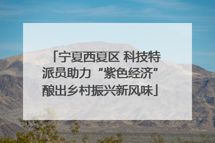宁夏西夏区 科技特派员助力“紫色经济”酿出乡村振兴新风味