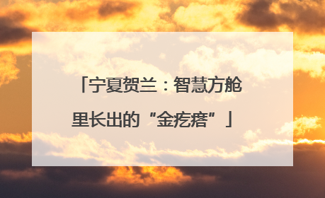 宁夏贺兰：智慧方舱里长出的“金疙瘩”