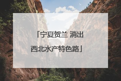 宁夏贺兰 淌出西北水产特色路
