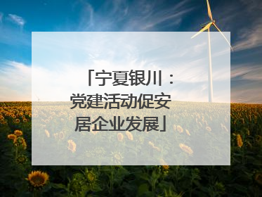 宁夏银川：党建活动促安居企业发展