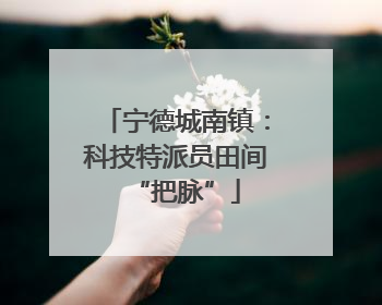 宁德城南镇：科技特派员田间“把脉”